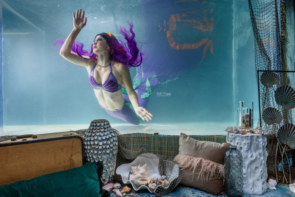 Mermaid
The Little Mermaid
Purple Mermaid
Underwater
Tank